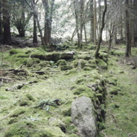 DSCF1186.JPG