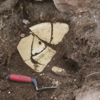 Fig 2.jpg