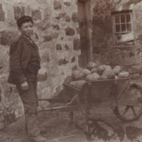 12-5-95 1890 Whitewell Farm barrow of neeps-1 for recipe card.jpg